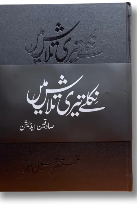 Niklay Teri Talash Mein (Sadequain Edition) - Mustansar Hussain Tarar