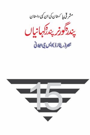 پندرہ گورنر پندرہ کہانیاں