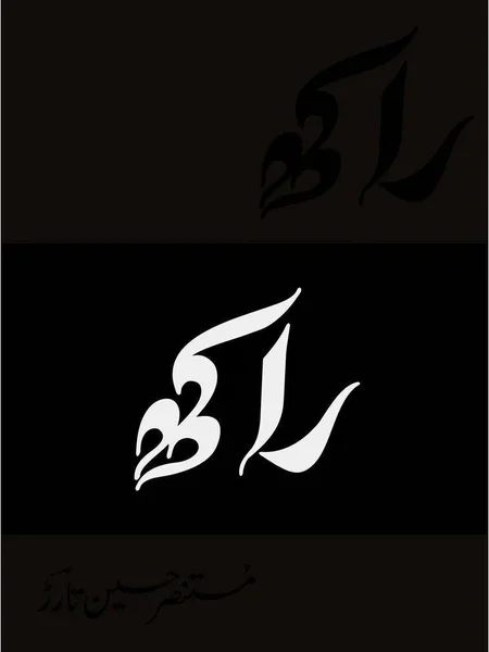 Raakh (Deluxe Edition) - Mustansar Hussain Tarar