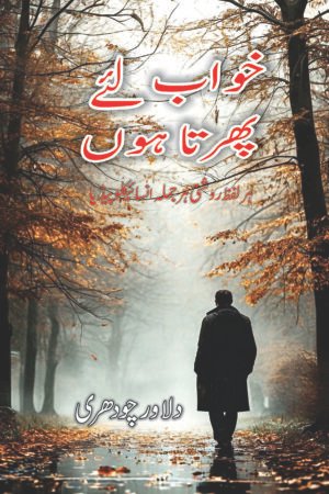 Khab liay phirta hoo