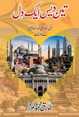 تین دیس ایک دِل