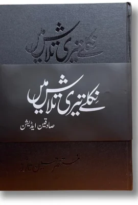 Niklay Teri Talash Mein